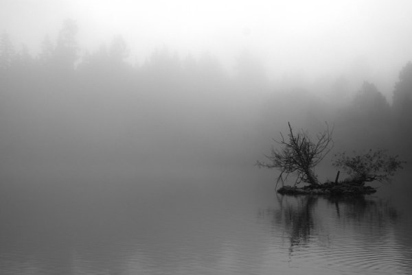 Туман на воде