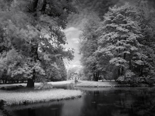 Белый пейзаж