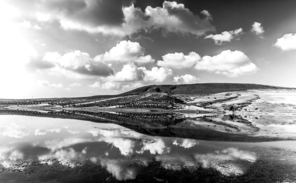 Черно белые пейзажи у воды