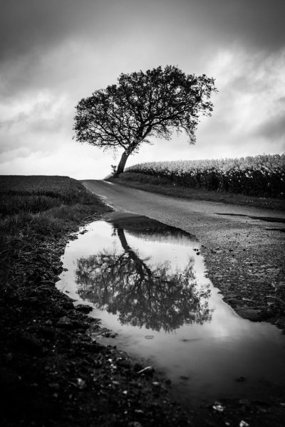 Черно белый пейзаж