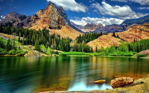 8k Долина река горы лес