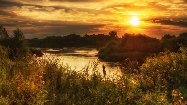 Рассвет Рязанская область