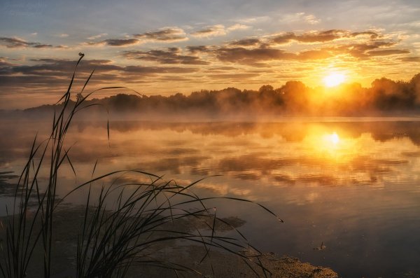 Утренняя Заря