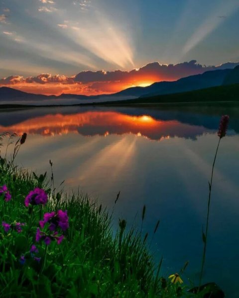 Природа рассвет