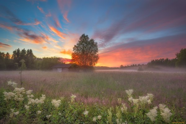 Дунилово весной