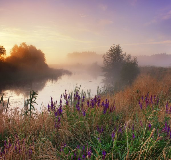 Утреннее небо