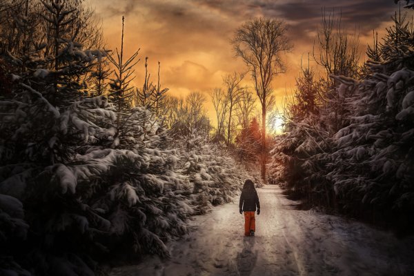 Прогулка зима