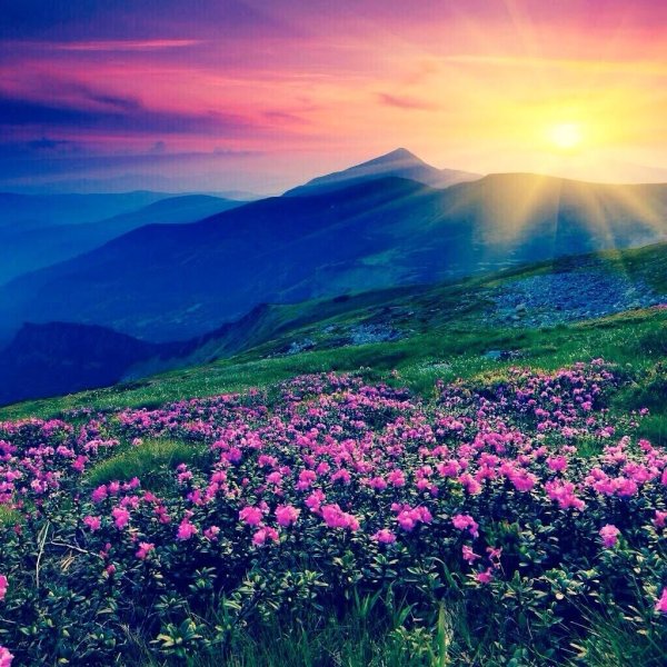 Прекрасная природа