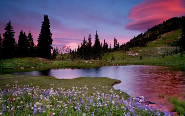 Очень красиво