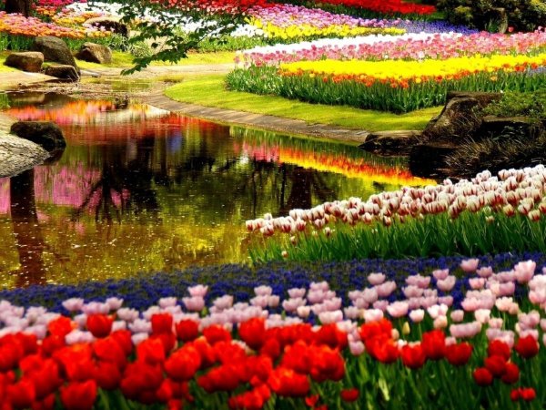 Прекрасный мир природы