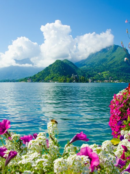 Пейзажи с цветами