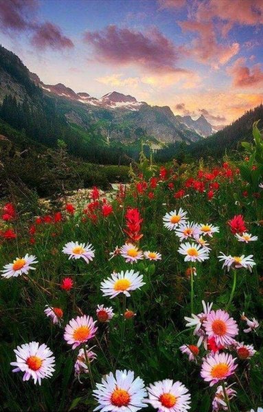 Фантастические пейзажи