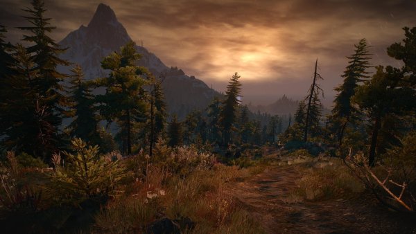 Ведьмак 3 природа