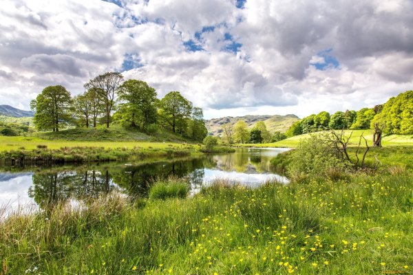 Река в поле