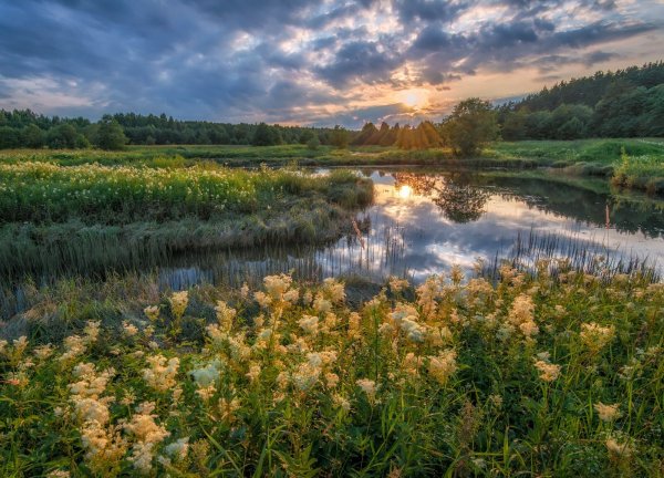 Природа Ярославской области