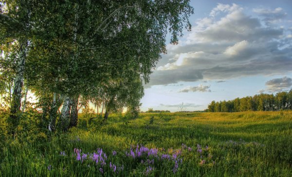 Красота русской природы