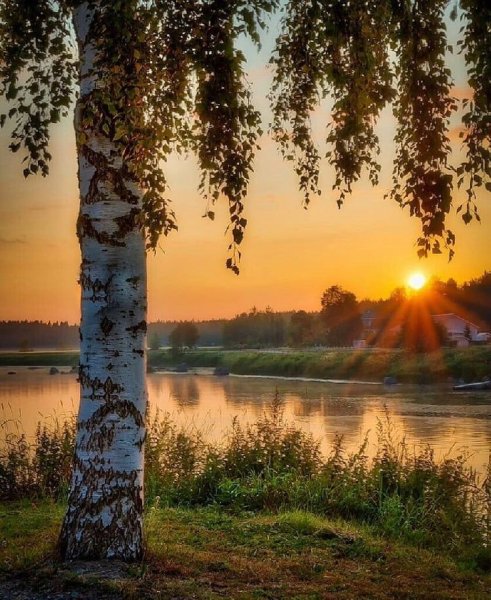 Природа России