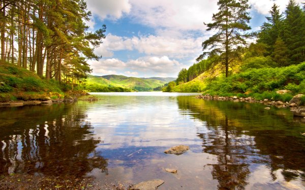 Речка в лесу