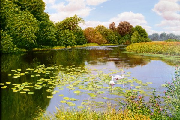 Пейзаж с речкой