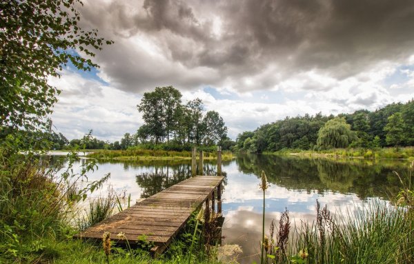 Деревня речка мостик