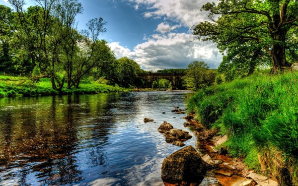 Природа река