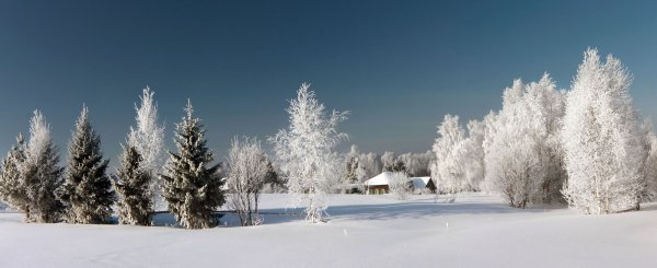 Зимний пейзаж