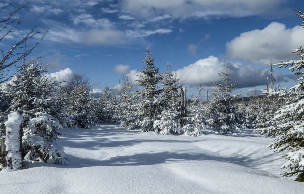 Панорама природа