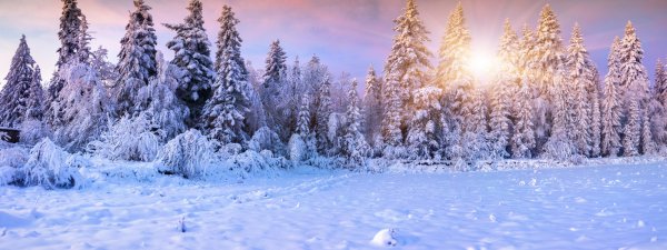 Зимние панорамные пейзажи