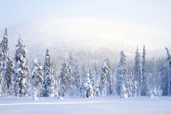 Зимний пейзаж панорама