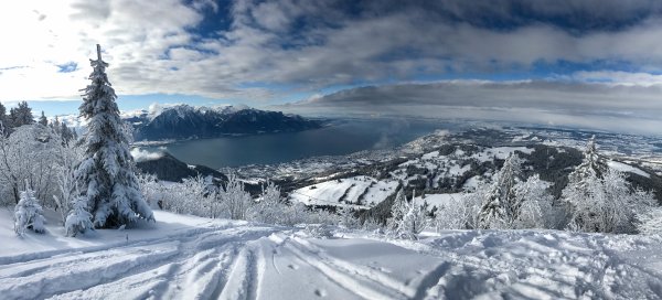 Зима панорама