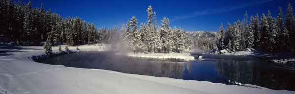 Панорама зимнего леса