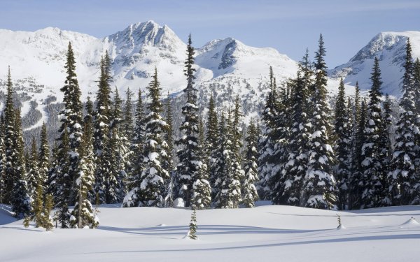 Зима пейзаж панорама