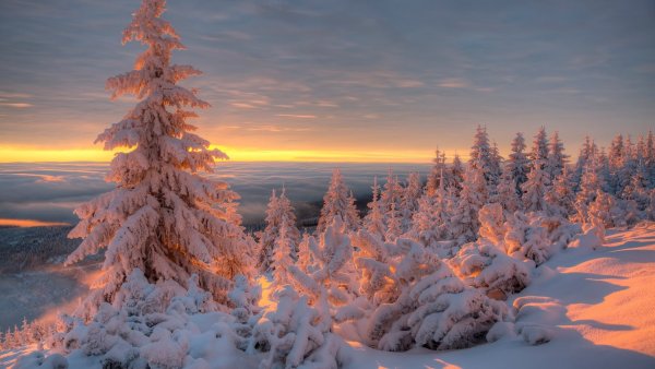 Рассвет зимой