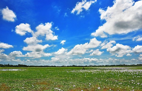 Летнее небо с облаками