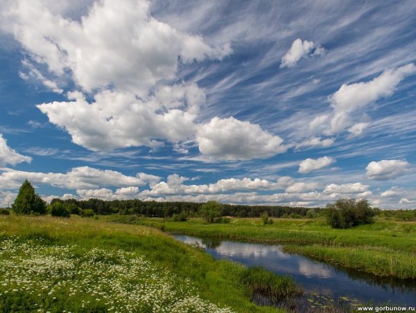 Реки средней полосы России
