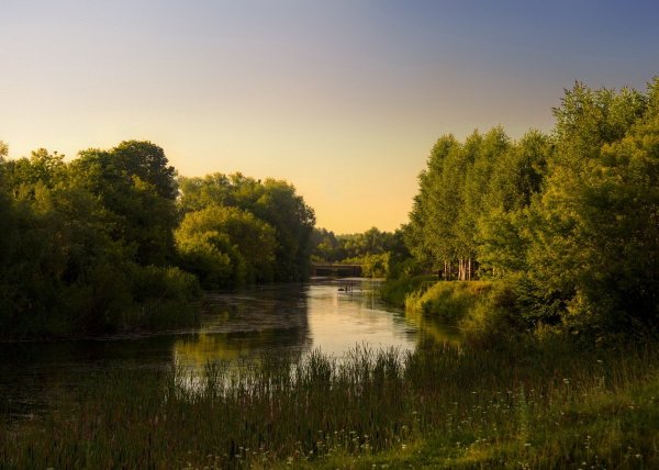 Река Сенокосная