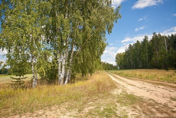 Просторы средней полосы России