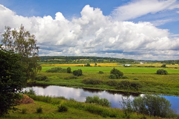 Природа средней полосы России