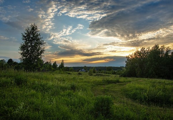 Природа средней полосы России