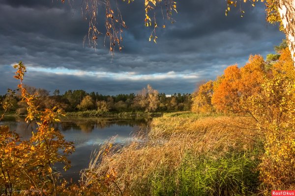 Природа с березами и речкой