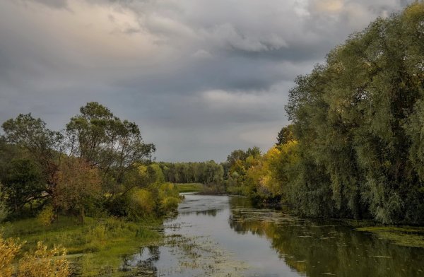 Природа Костромской области