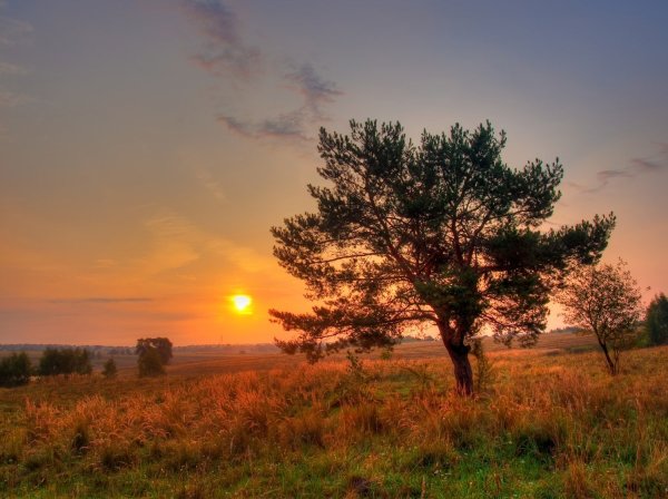 Красота природы средней полосы России