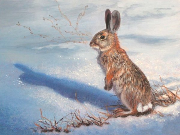 Художники анималисты заяц Русак