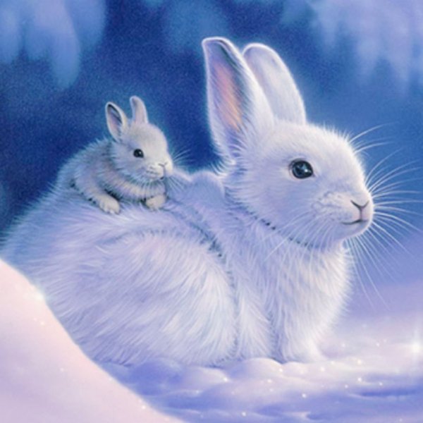 Новогодний заяц