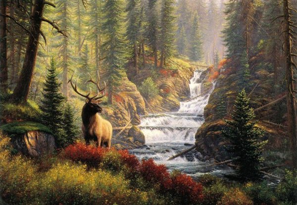 Красивые пейзажи с животными