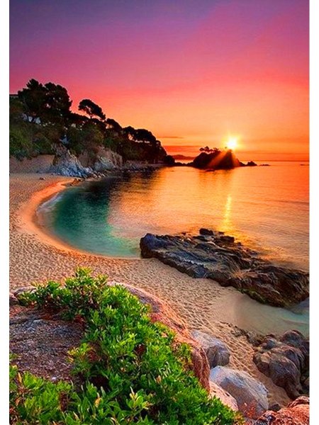 Гавайи ороллари