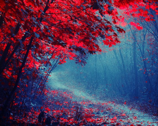 Багряный лес