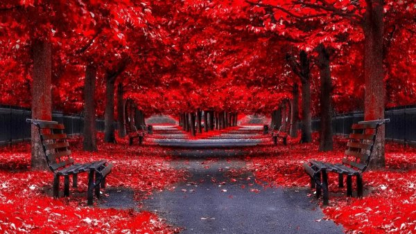 Пейзаж в красных тонах