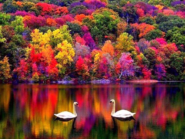 Красота осени