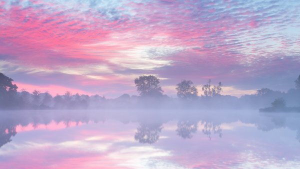 Розовый закат